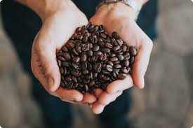 Ver detalles de Café de la mejor Calidad del Llano x Libra Comprar Café de la mejor Calidad del Llano x Libra de AgroCampo, producto fresco de Colombia